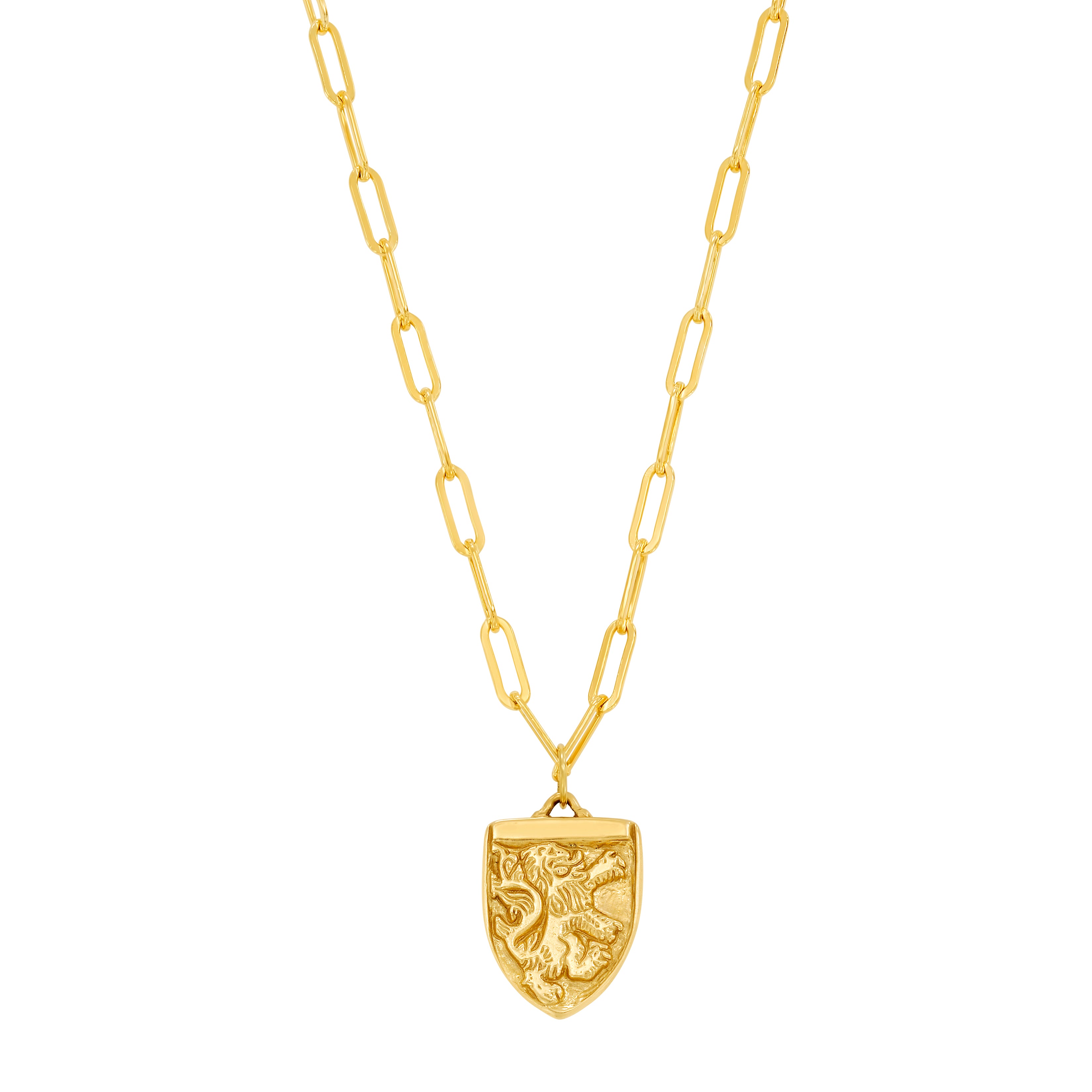 Medieval Dual Lion Pointed Medallion Necklace